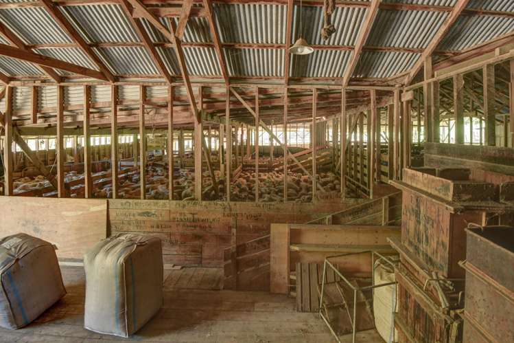 34 O’Neills Road Kakatahi_16