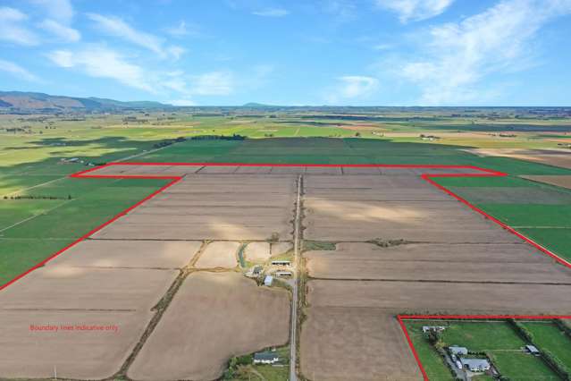 Premium Opiki property - prime soils - 76 ha