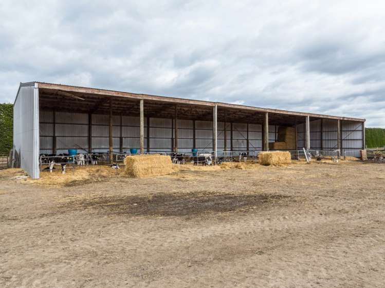 46 Mitchells Road Bankside_7