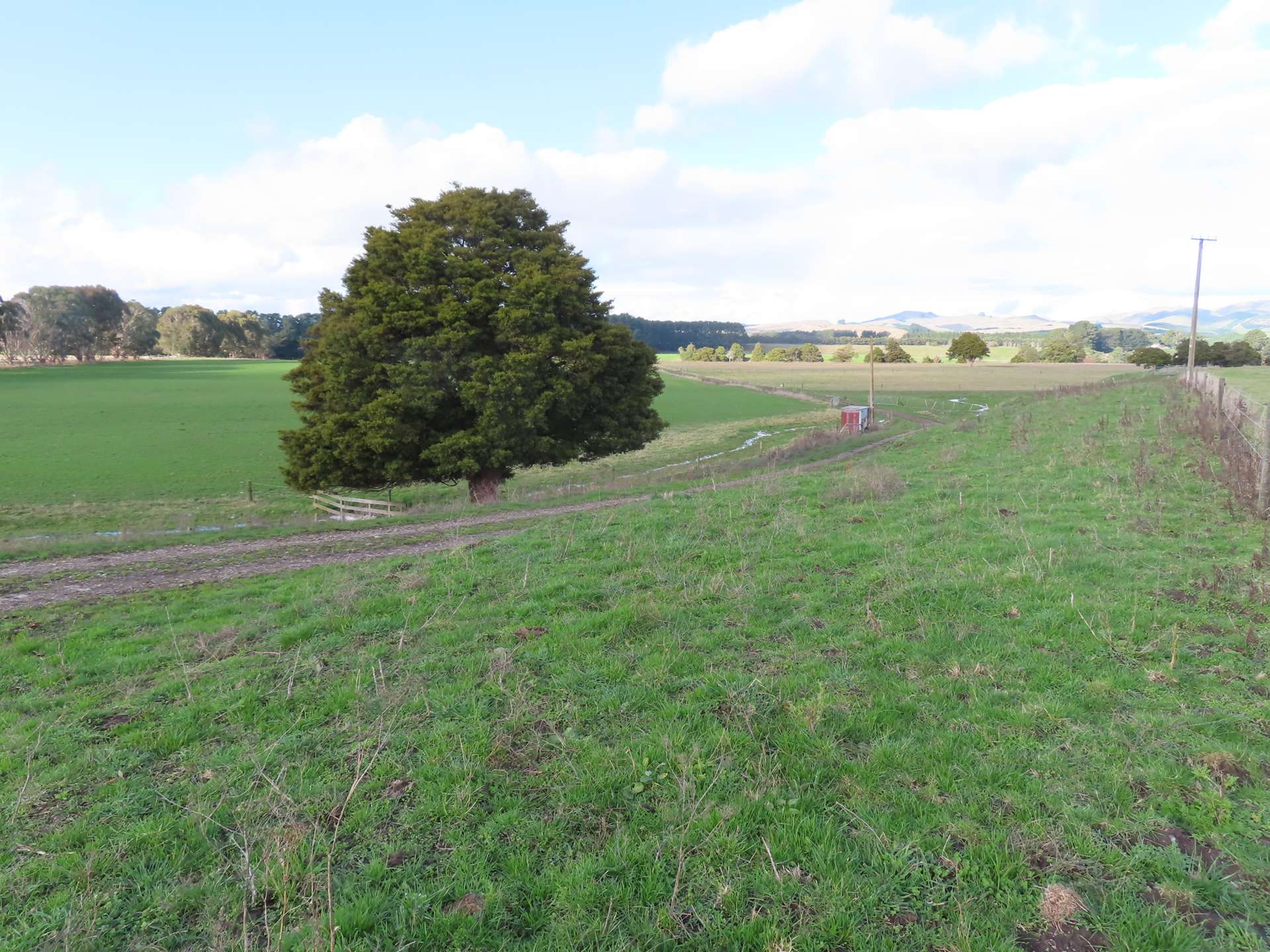 141 Wi Duncan Road Dannevirke Tararua Rural Property For Sale