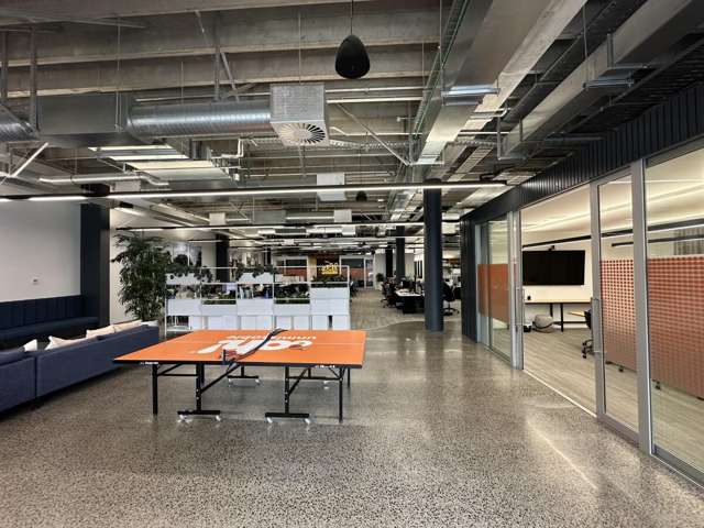 22 Pollen Street Grey Lynn_4