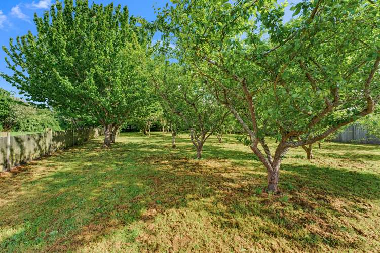 14C Smith Street Waimate_11
