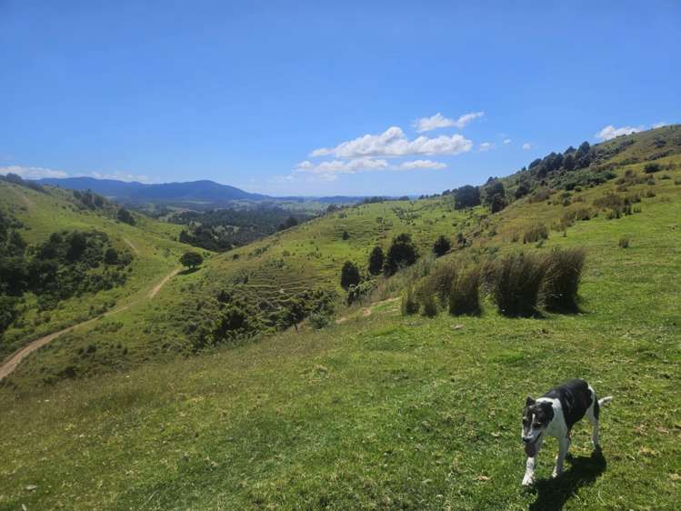 160 Te Rore Road Kaitaia_25