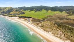 Coromandel coastal sanctuary on market
