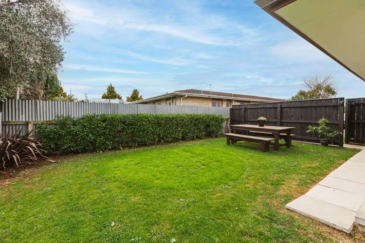 3/805 Heretaunga Street East Parkvale_15