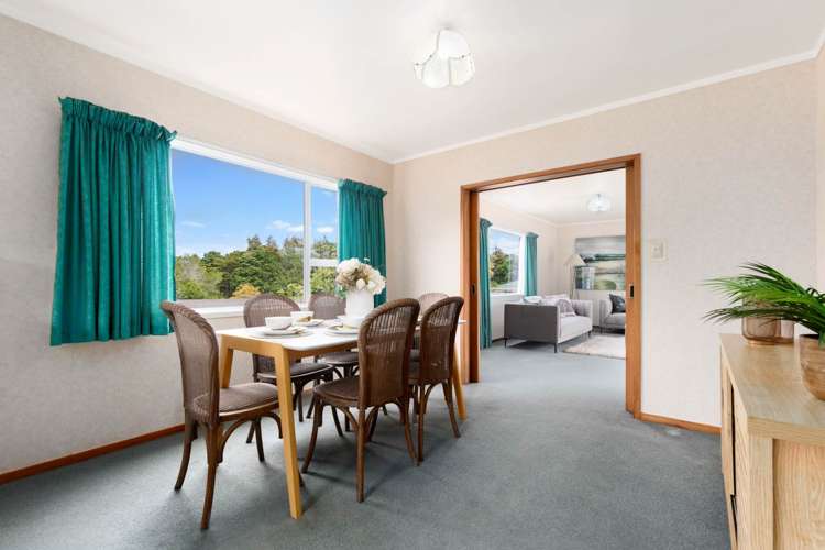 48 Scenic Drive Hillpark_7