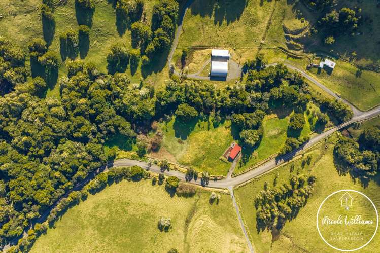 437 Paparoa Station Road Paparoa_40