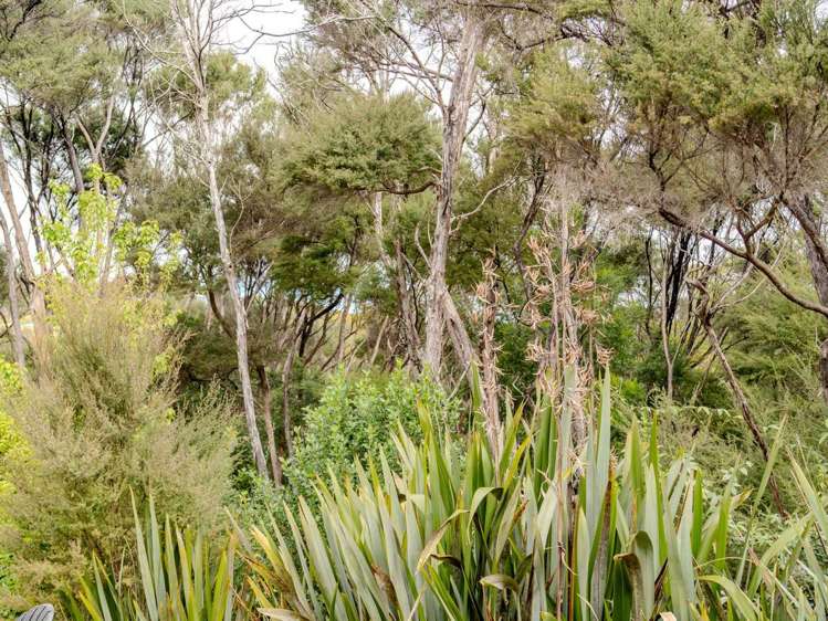 11/1 Ash Grove Circle, Haruru Kerikeri_22