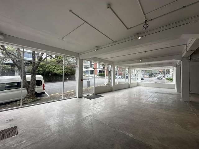 36 Karaka Street Eden Terrace_1