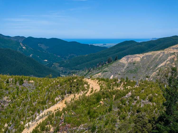 785 Waikakaho Road Tuamarina_41