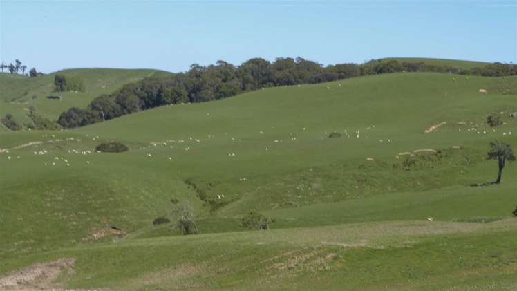 309 Hagen Road Orawia_3