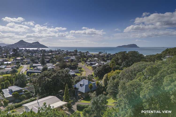 31 Mount Avenue Pauanui_11