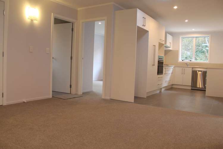 30a Halver Road Hillpark_2