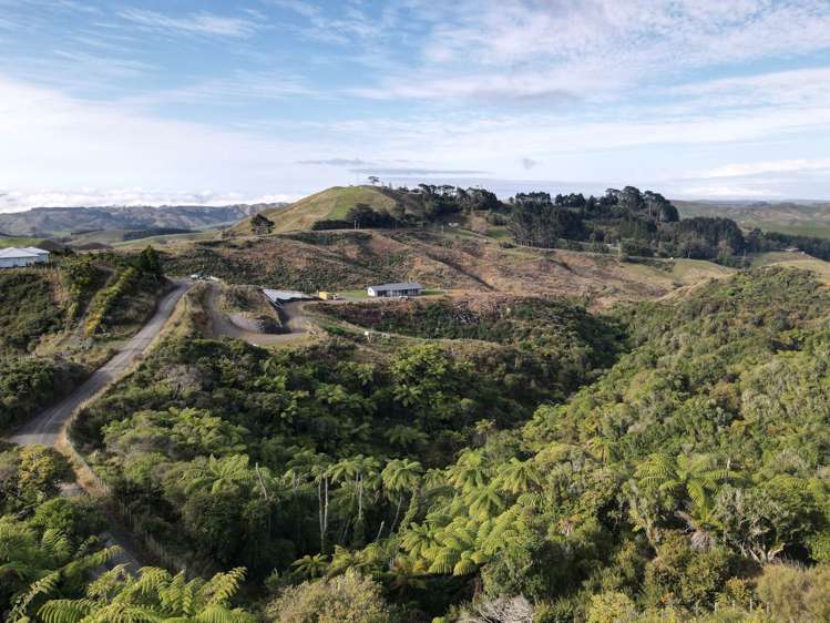 37 Waikaretu Wairamarama Road Glen Murray_12