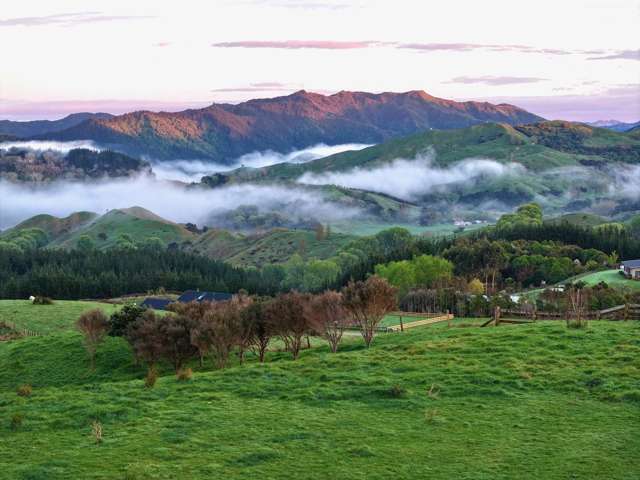 Last but not least- elevated 1.326ha lifestyle section