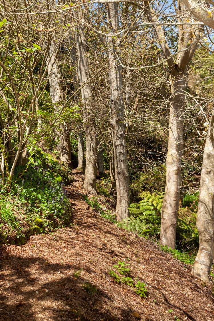 530 Arapuni Road Putaruru_20