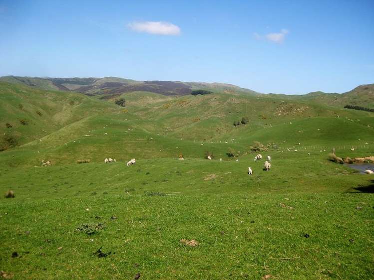 12271 Route 52 Pongaroa_7