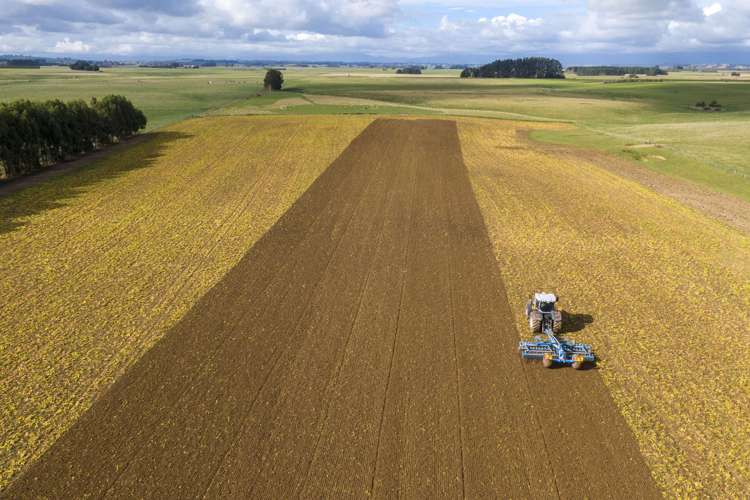 63b Sligo Terrace Roslyn_2