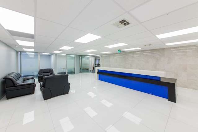 32 Manukau Road Epsom_3