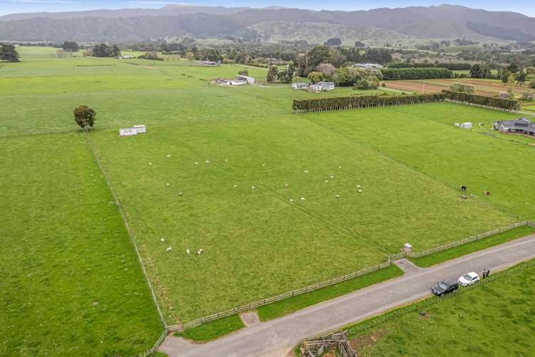 291a Kimberley Road Levin_4