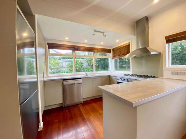 4 Moira Street Ponsonby_4