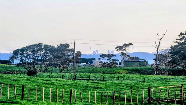 347 Grahams Beach Road Awhitu_10