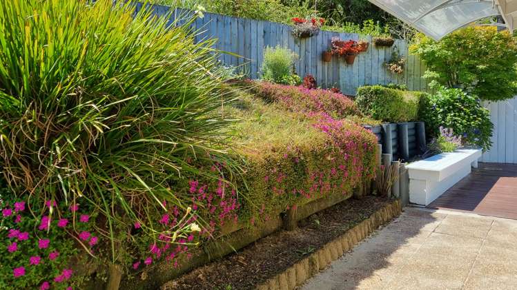 92 Braemar Road Castor Bay_8