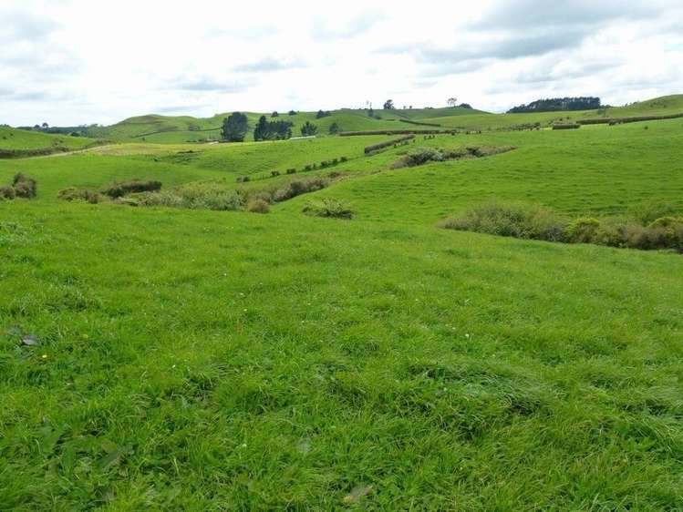 1265 Mountain Road Inglewood_16