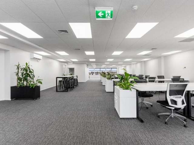 Modern Papakura Office