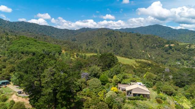 13 Pohue Creek Road Thames_3