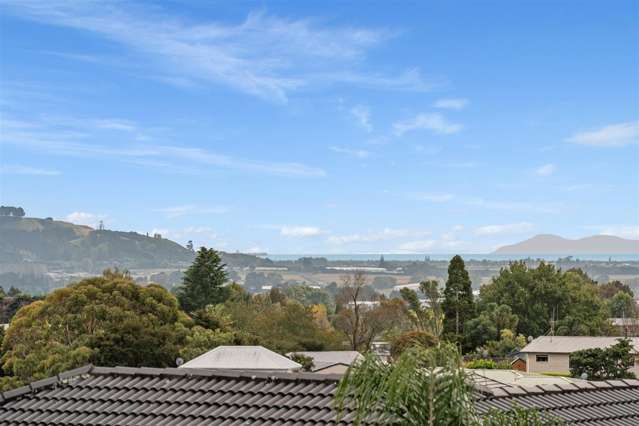 16A No 2 Road Te Puke_4