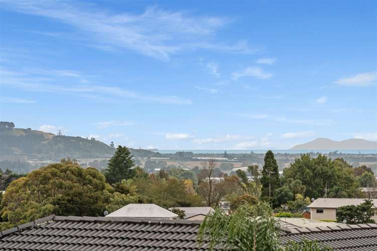 16A No 2 Road Te Puke_3