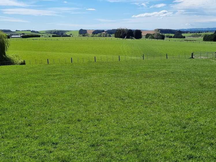 199 Moa Hill Road Clinton and Surrounds_19