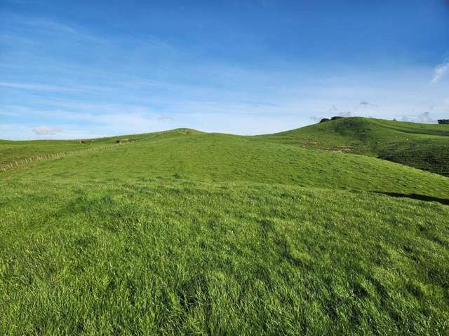 899 Te Akau Road Te Akau_1