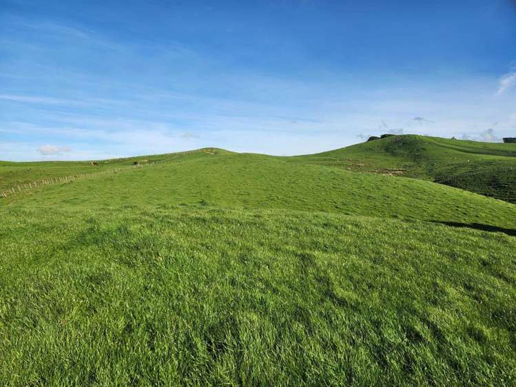 899 Te Akau Road Te Akau_1