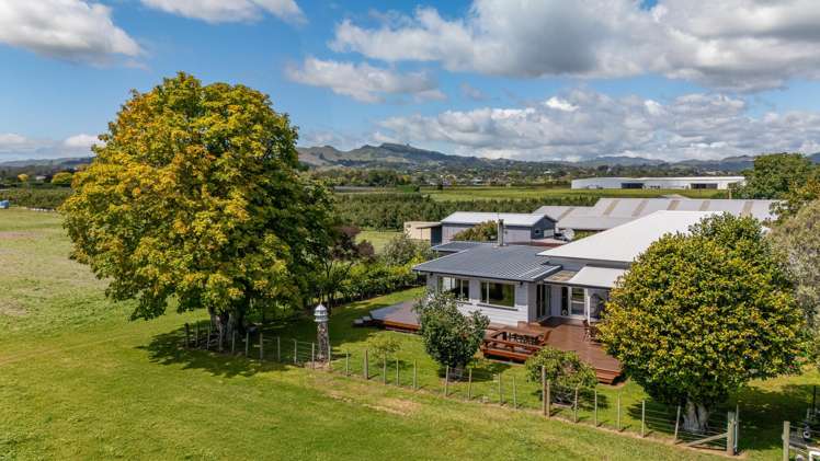 252 Napier Road Havelock North_0