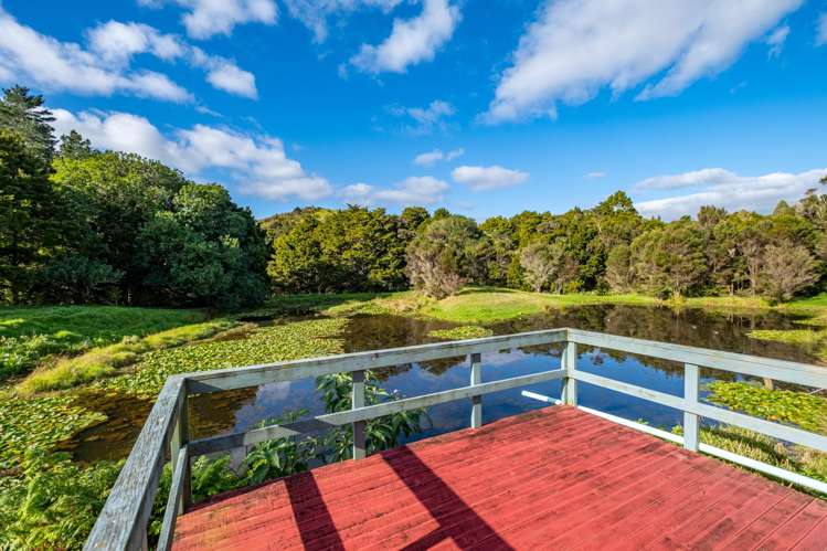 445 Duncan Road Kaingaroa_6