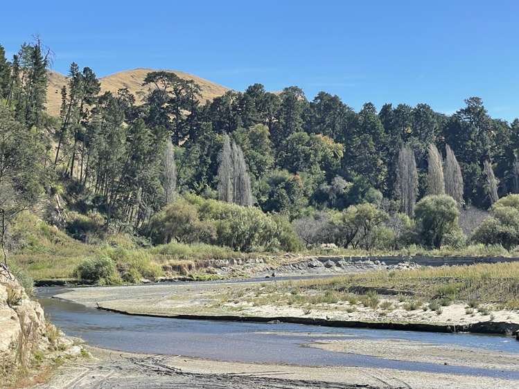 1019 Dartmoor Road Puketapu_2