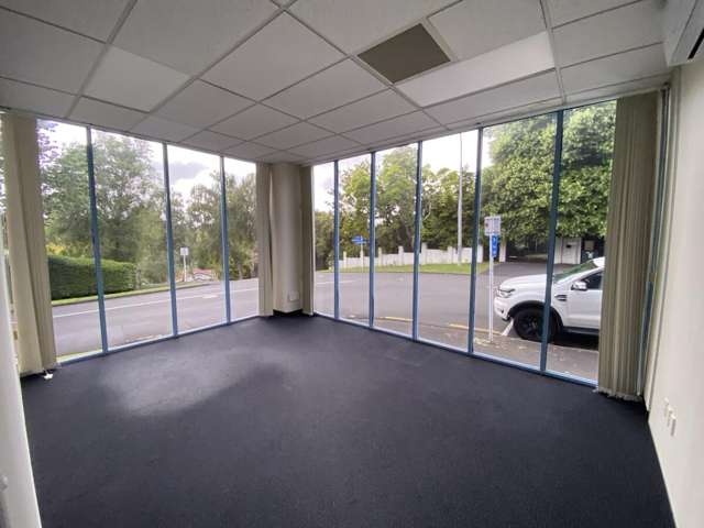 18 Rostrevor Street Hamilton City Central_1