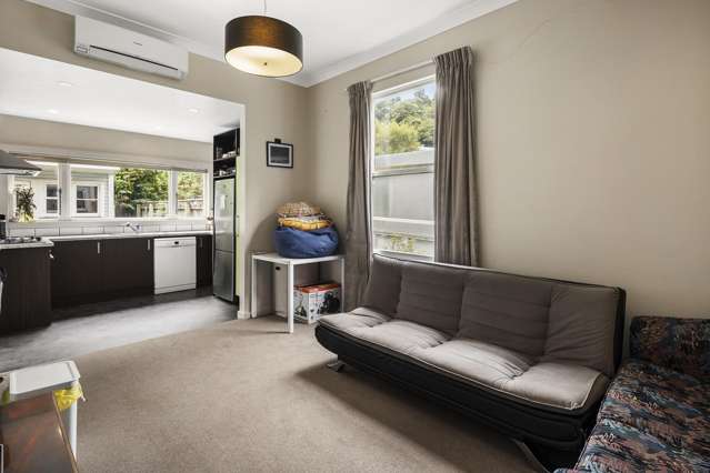194 Aro Street Aro Valley_2