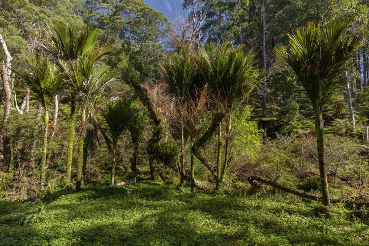 226 Peria Road Peria_11