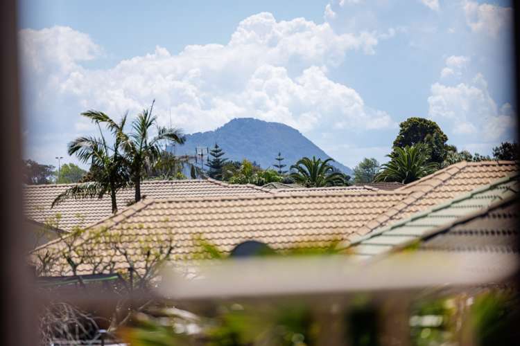 4 Grevillea Place Mount Maunganui_8