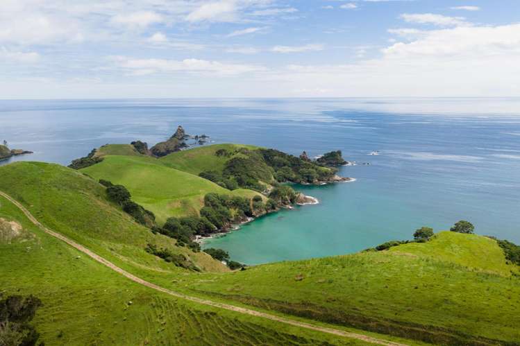 Whangaihe Bay Kaeo_16