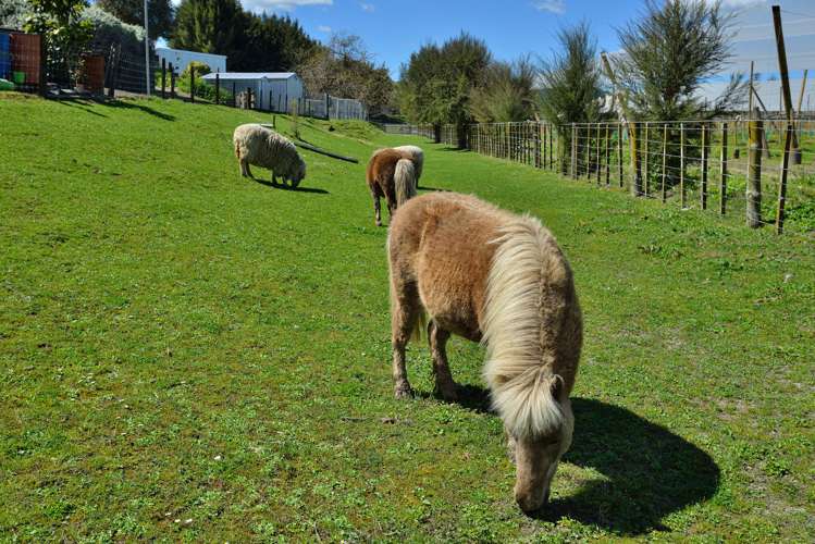 63 Brown Road Ormond_26