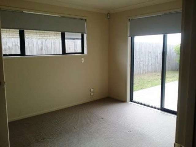 16a Carlton Street Hillsborough_4