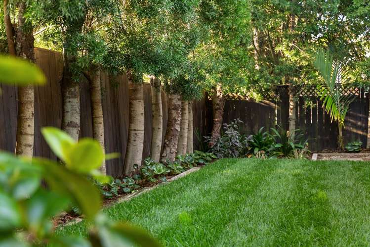 59 Crossfield Road Glendowie_5