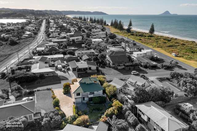 Ocean and Harbour Vistas