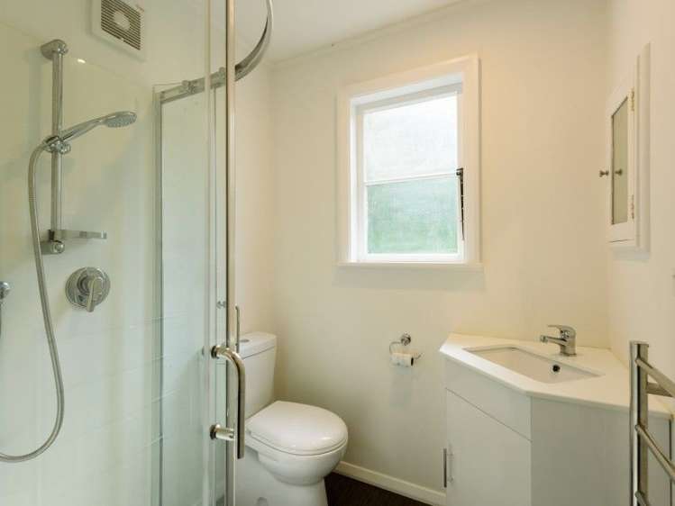 58c Norway Street Aro Valley_10