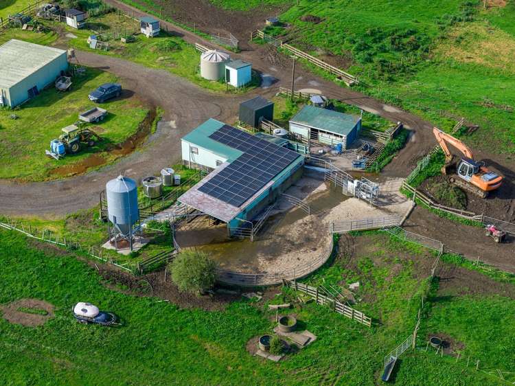 8 Mackay Road Maramarua Forest_2