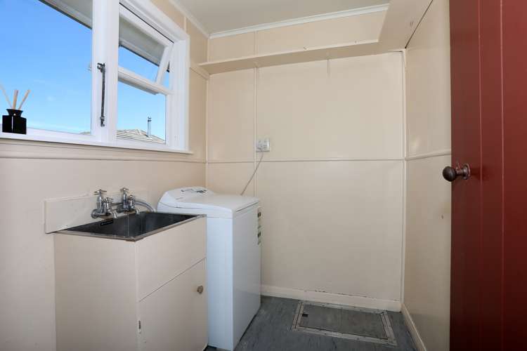 11 Ward Street Bulls_9